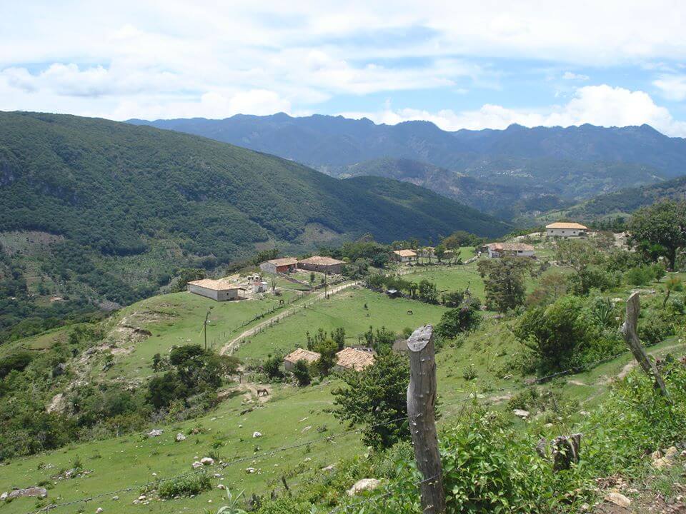 Jerzon